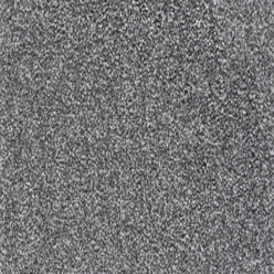 HAMPSHIRE SAXONY (UNITY) 204 FELTBAC Image