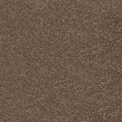 AQULIA MUDDY PUDDLE 39 Image