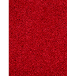 DALTON TOMATO 440 Image