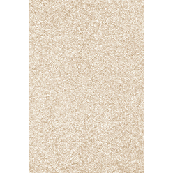 INDUS BLANCHED ALMOND 30 Image