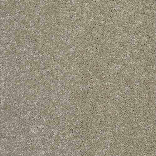 VALENTINE GUINEVERE Image