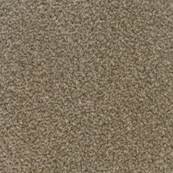 STAINFREE TWIST BISCOTTI Image