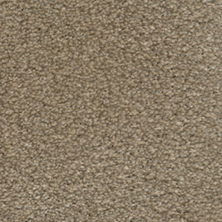 STAINFREE TWIST LATTE Image