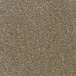 STAINFREE ULTRA BISCOTTI Image