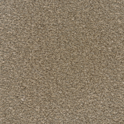 STAINFREE ULTRA LATTE Image