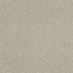 STAINFREE ULTRA PARCHMENT Image