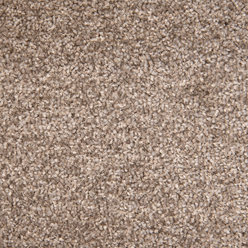 STAINFREE ARENA NEW PLATINUM 25 Image