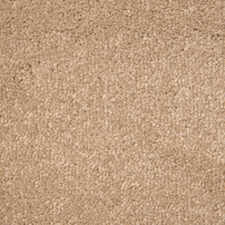 STAINFREE ARENA NEW DOVE GREY 26 Image