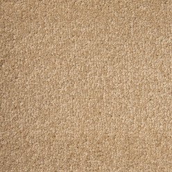 STAINFREE ARENA NEW DEVON CREAM 27 Image