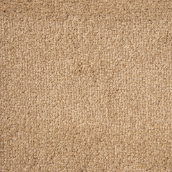 STAINFREE ARENA NEW COOL BEIGE 29 Image