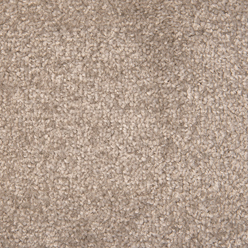 STAINFREE ARENA NEW COOL SILVER 24 Image