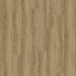 COLOSSEUM XL DRYBACK STIRLING OAK Image