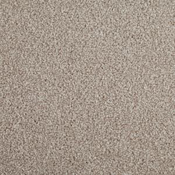 PRIMO CHOICE ELITE LINSEED Image