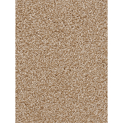 INVICTUS CASSIUS 34 ACACIA Image