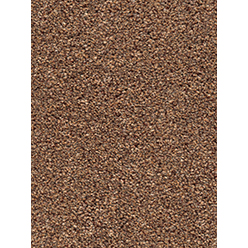 INVICTUS CASSIUS 38 OKRA Image