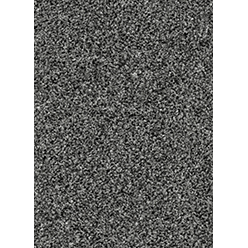 INVICTUS CASSIUS 99 SESAME Image