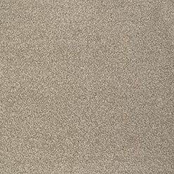 INVICTUS CASSIUS 29 LILYLOCK Image