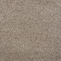 INVICTUS DARIUS 9 HIGHGATE Image