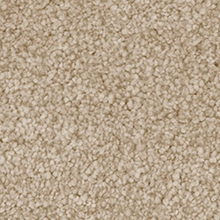 INVICTUS DARIUS 33 TEMPLE Image