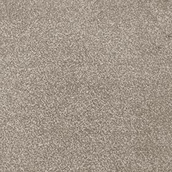 INVICTUS DARIUS 37 SOYA Image