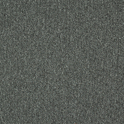 CREATIVE SPARK 979 Image