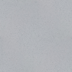 ALTRO WALKWAY 20 TEMPLE VM2009P Image