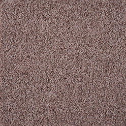 DUBLIN HEATHERS (OLD) 965 BEAVER FB Image