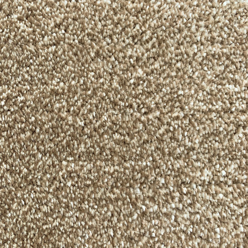 CANTERBURY PLUS WALTHAM Image