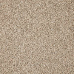 PRIMO GRANDE STRING Image