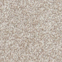 SACRAMENTO ELITE 274 SABLE Image