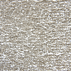 STAINFREE SATIN TOUCH CALICO 10 Image