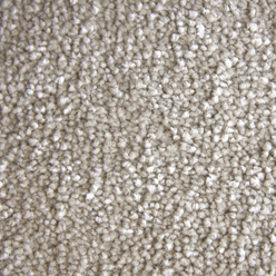 STAINFREE SATIN TOUCH COTTON 12 Image