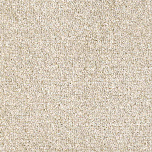 FIREWORK 54869 RADIANT SB Image