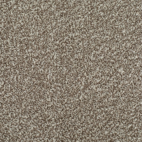 HOMELY DELIGHTFUL Image