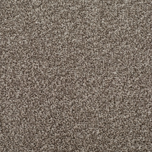 HOMELY TRANQUIL Image