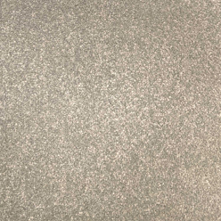 STAINFREE SOPHISTICAT 05 SUEDE Image