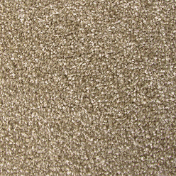 STAINFREE MAXIMUS 16 BISCOTTI Image