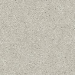 SILVERTEX STARDUST 2020 Image