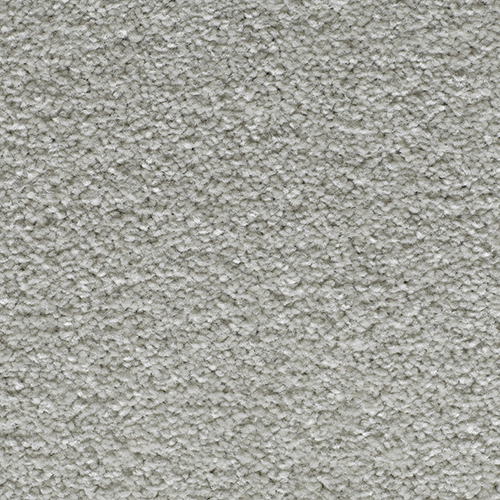 CANTERBURY EXTRA ICE CREAM Image