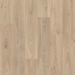 SOUTH BEACHTEX CORAL SPRINGS 2020 Image