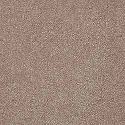 PRIMO PLUS CLEMATIS Image