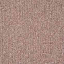 CREATIVE SPARK 419 Image