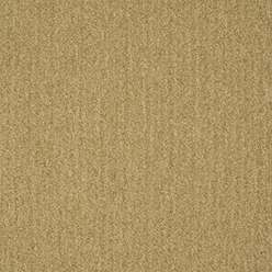 CREATIVE SPARK 627 Image