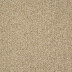 CREATIVE SPARK 731 Image