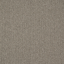 CREATIVE SPARK 904 Image