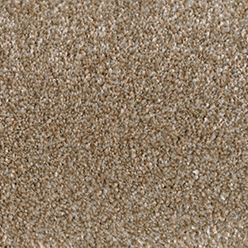 BRADENHAM SAXONY FB 1319 Image