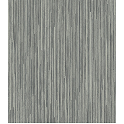 RAPIDO BOLIVIA 585* Image