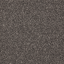 Inglewood Saxony - Carbon