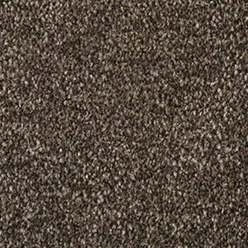 CAPITAL SAXONY TOKYO (304 TAUPE) Image