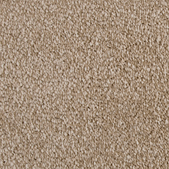 SPRINGFIELD 604 Image